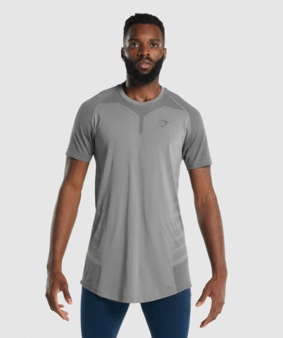 Gymshark 315 Men's T Shirts Grey | UAE-45ZHKO