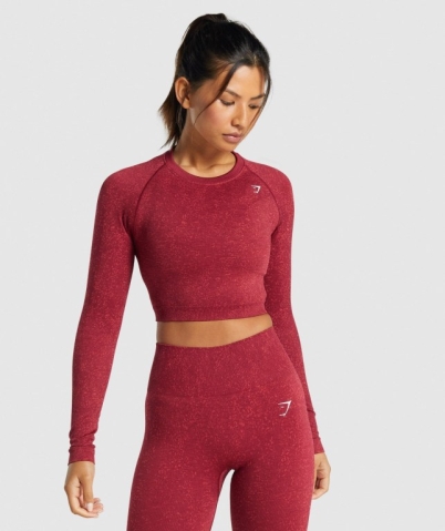 Gymshark Adapt Fleck Seamless Crop Top Women's T Shirts Burgundy | UAE-23NKBR