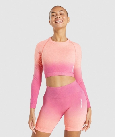 Gymshark Adapt Ombre Seamless Crop Top Women's T Shirts Orange / Pink | UAE-07FKRY