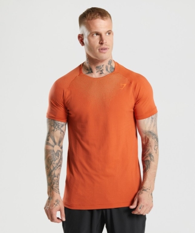 Gymshark Apex Contrast Men's T Shirts Red | UAE-28JLYU