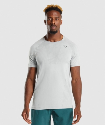 Gymshark Apex Perform Men's T Shirts Light Grey / Grey | UAE-28KMQT