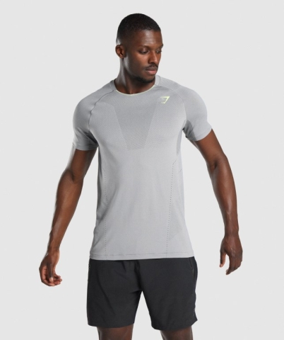 Gymshark Apex Seamless Men's T Shirts Grey | UAE-56TIXU