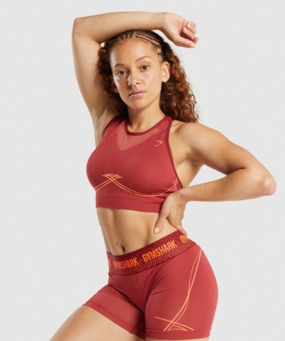 Gymshark Apex Seamless Women's Sports Bra Burgundy | UAE-49XRFO