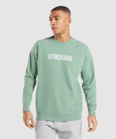 Gymshark Apollo Crew Men's Hoodies Blue | UAE-58VPWO