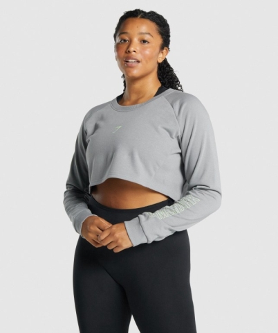 Gymshark Apollo Graphic Cropped Sweater Women's Hoodies Grey | UAE-76WTNS