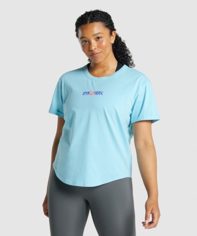 Gymshark Apollo Graphic Women's T Shirts Light Blue | UAE-79MOVF