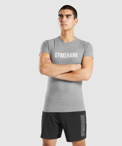 Gymshark Apollo Men's T Shirts Grey | UAE-10EGDJ