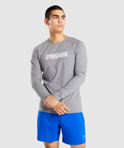 Gymshark Apollo Men's T Shirts Grey | UAE-27FWYS