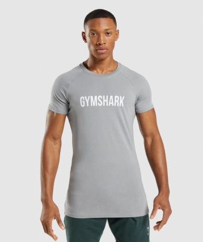 Gymshark Apollo Men's T Shirts Grey | UAE-56KESZ