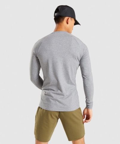 Gymshark Apollo Men's T Shirts Grey | UAE-84GDVY