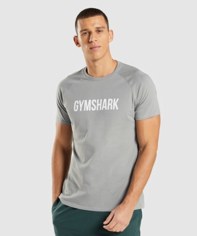 Gymshark Apollo Men's T Shirts Grey | UAE-94THCA