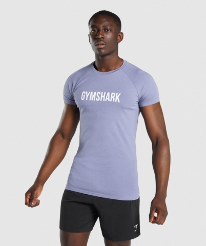 Gymshark Apollo Men's T Shirts Light Blue | UAE-98JOKP