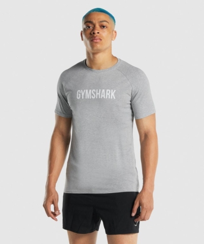 Gymshark Apollo Men's T Shirts Light Grey | UAE-24CXPQ