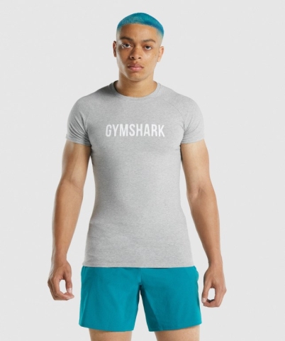 Gymshark Apollo Men's T Shirts Light Grey | UAE-46PROQ