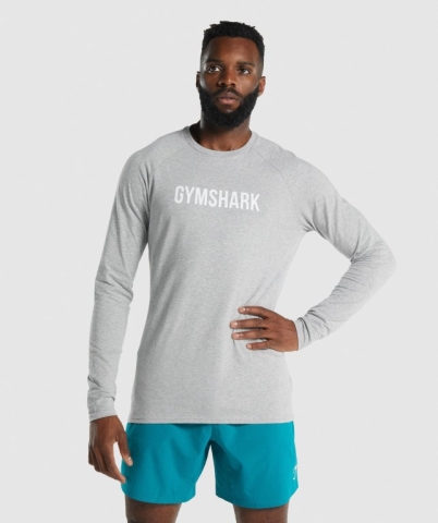 Gymshark Apollo Men's T Shirts Light Grey | UAE-83RHMZ