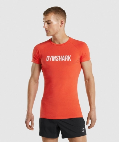 Gymshark Apollo Men's T Shirts Orange | UAE-36JYFE