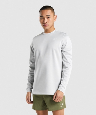 Gymshark Arrival Crew Sweatshirt Men's Hoodies Light Grey | UAE-45RNKB