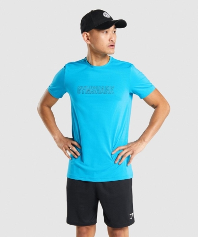 Gymshark Arrival Graphic Men's T Shirts Light Blue | UAE-91AWSR