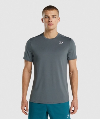 Gymshark Arrival Regular Fit Men's T Shirts Grey | UAE-36OEQG