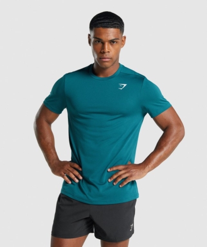 Gymshark Arrival Regular Fit Men's T Shirts Turquoise | UAE-43ERYU