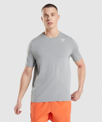 Gymshark Arrival Seamless Men's T Shirts Grey | UAE-54RFGV