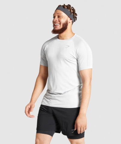 Gymshark Aspect Lightweight Seamless Men's T Shirts Light Grey | UAE-48MUNW