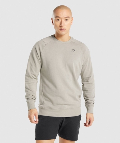 Gymshark Bold Crew Men's Hoodies Grey | UAE-95WFYZ