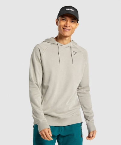 Gymshark Bold Men's Hoodies Grey | UAE-81ATCB