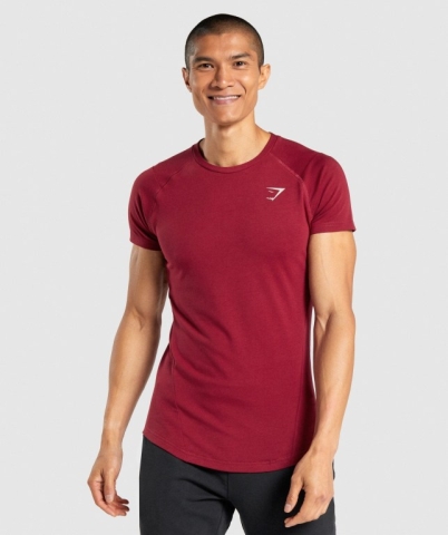 Gymshark Bold Men's T Shirts Burgundy | UAE-29NQYL