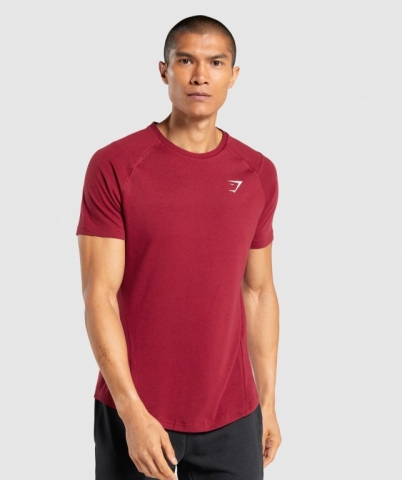 Gymshark Bold Men's T Shirts Burgundy | UAE-41RSZY