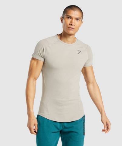 Gymshark Bold Men's T Shirts Grey | UAE-02QEMG