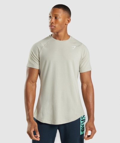 Gymshark Bold Men's T Shirts Grey | UAE-05QZSR