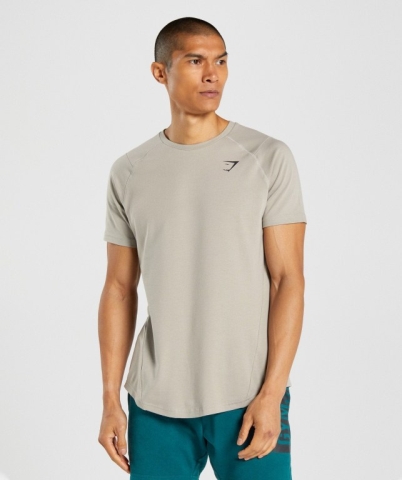 Gymshark Bold Men's T Shirts Grey | UAE-08RSKG