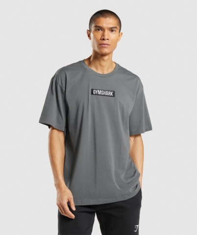 Gymshark Central Oversized Men's T Shirts Grey | UAE-62VPXU