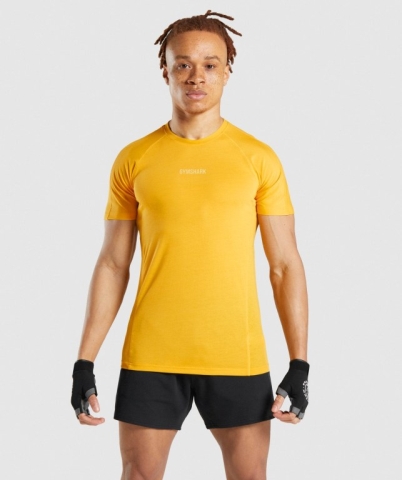 Gymshark Chalk Men's T Shirts Yellow | UAE-49ICWU