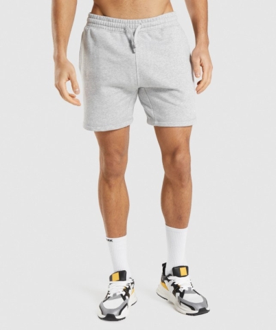 Gymshark Crest Men's Shorts Light Grey | UAE-51OJLW