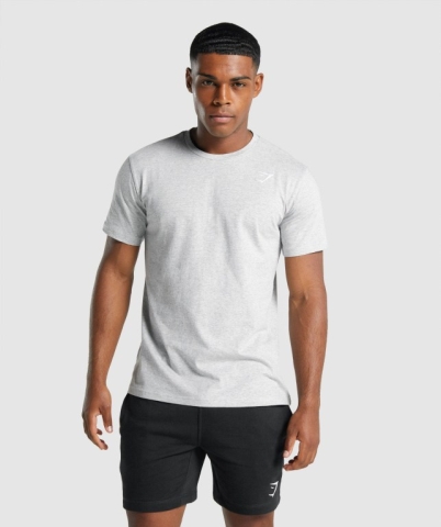 Gymshark Crest Men's T Shirts Light Grey | UAE-90HIDY