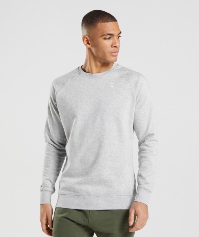 Gymshark Crest Sweatshirt Men's Hoodies Light Grey | UAE-19QRAD