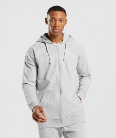 Gymshark Crest Zip Up Men's Hoodies Light Grey | UAE-12UPYG