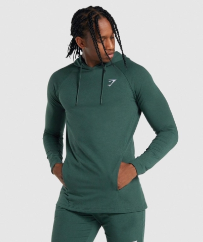 Gymshark Critical 2.0 Men's Hoodies Dark Green | UAE-73OKXT