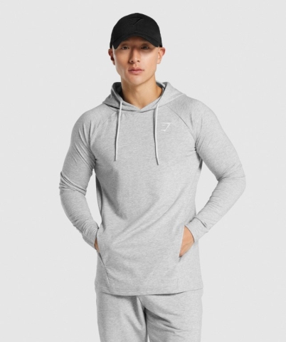 Gymshark Critical 2.0 Men's Hoodies Light Grey | UAE-93CSOU