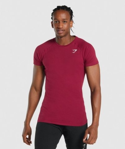 Gymshark Critical 2.0 Men's T Shirts Burgundy | UAE-41ESLU