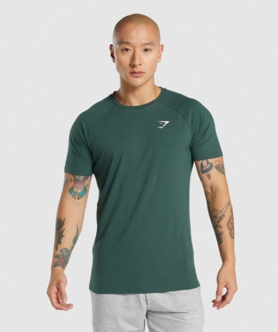 Gymshark Critical 2.0 Men's T Shirts Dark Green | UAE-35QZIE