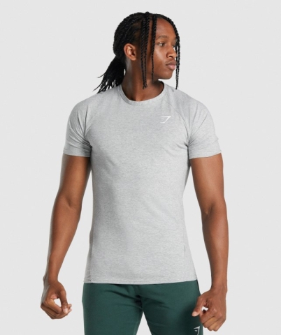 Gymshark Critical 2.0 Men's T Shirts Light Grey | UAE-29RFDM