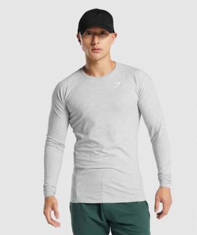 Gymshark Critical 2.0 Men's T Shirts Light Grey | UAE-46TBAN