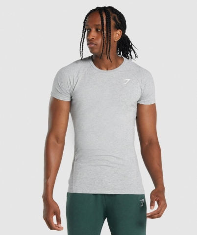 Gymshark Critical 2.0 Men's T Shirts Light Grey | UAE-86KMTB