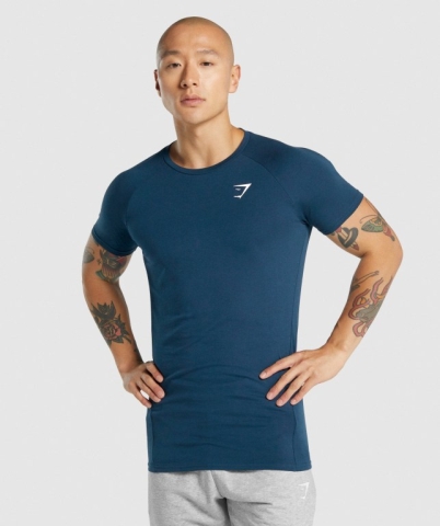 Gymshark Critical 2.0 Men's T Shirts Navy | UAE-17BYGR