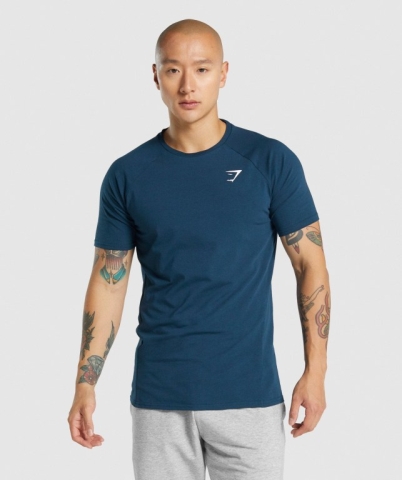 Gymshark Critical 2.0 Men's T Shirts Navy | UAE-71HITG