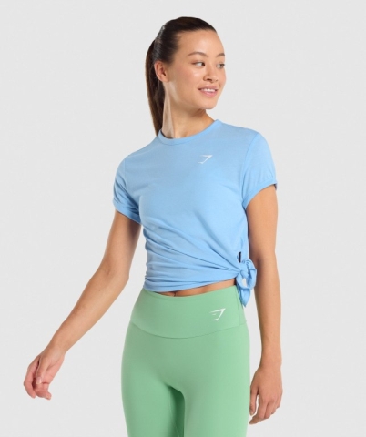 Gymshark Essential Women's T Shirts Light Blue | UAE-74GUQI