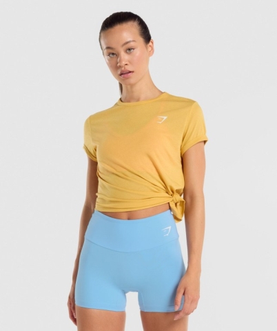 Gymshark Essential Women's T Shirts Yellow | UAE-17FDGW